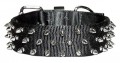 Bravo Nylon Protector Spiked Collars