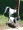 Two Dog Lead