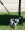Two Dog Lead