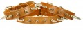 Single Row Liberty Bully Spike Protector Collar