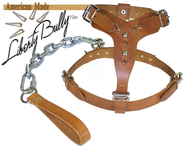 bully-harness.jpg