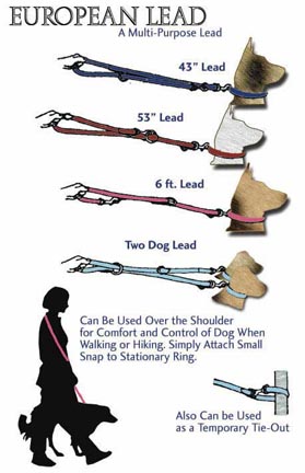 european-lead-drawings-low-res.jpg
