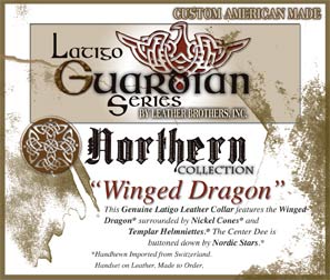 northern-winged-dragon-tag.jpg