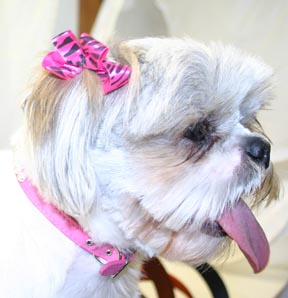 pp-pink-pearls-a.jpg