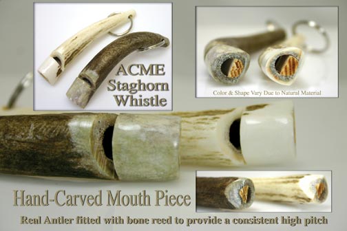 staghorn-ad.jpg staghorn-ad.jpg