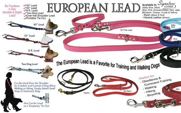 europeanleadad.jpg