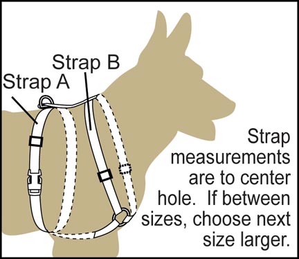 harnessdogright.jpg harnessdogright.jpg