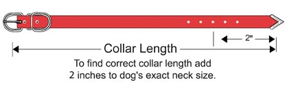 majesticcollarsize.jpg majesticcollarsize.jpg